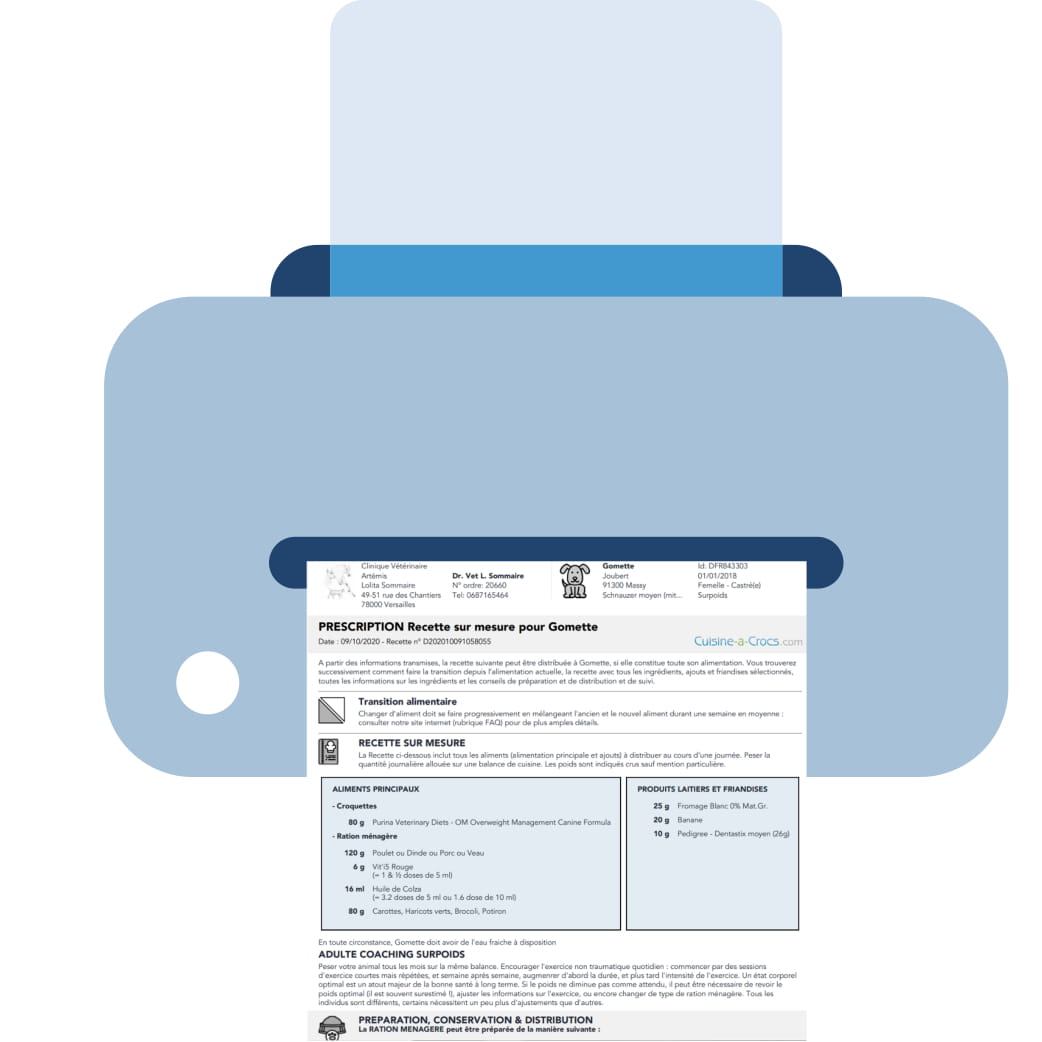 coaching perte de poids pour un chien